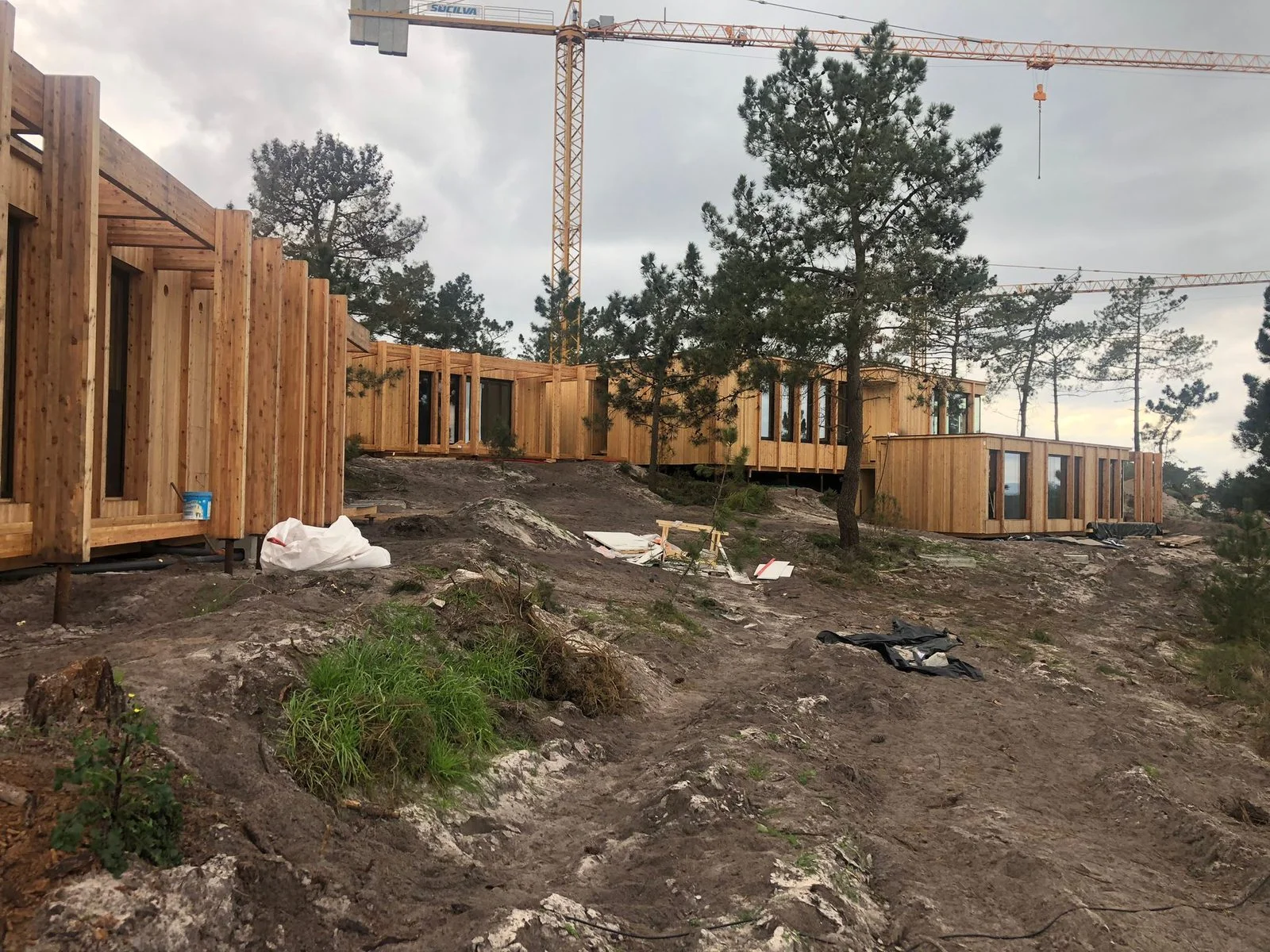 Nowoczesna willa CLT na fundamencie palowym
